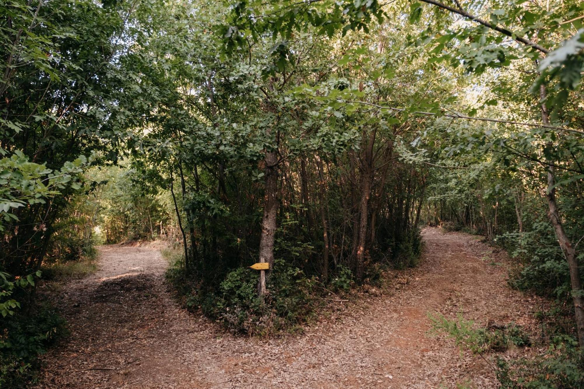 Poggio Al Vento *