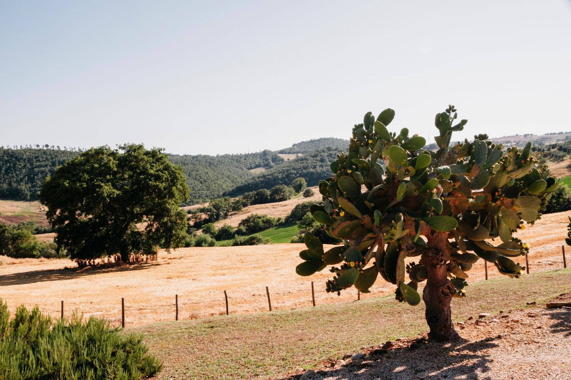 Poggio Al Vento Bauernhof