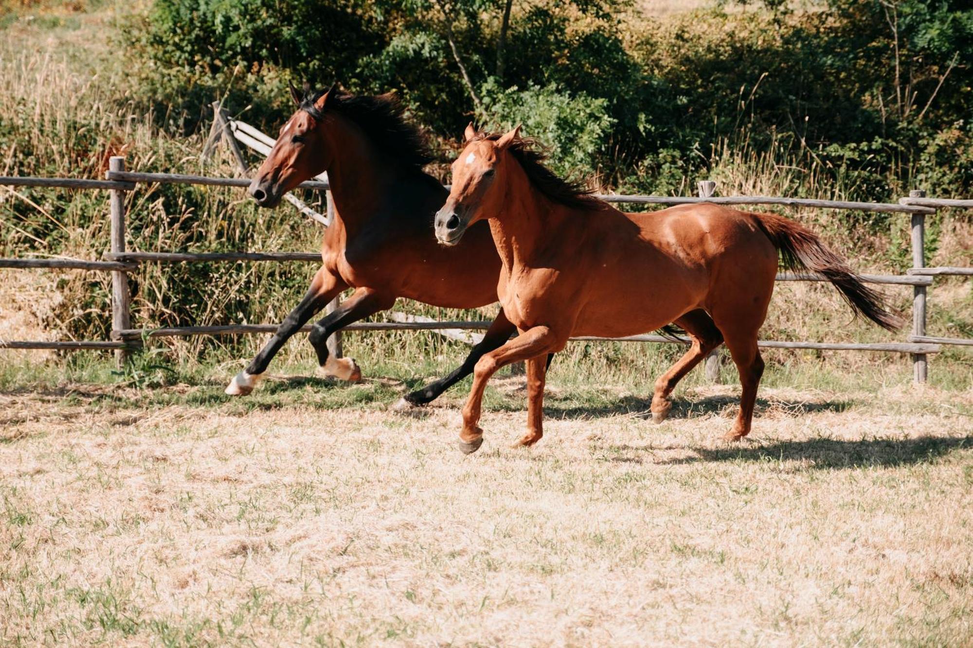 Poggio Al Vento *