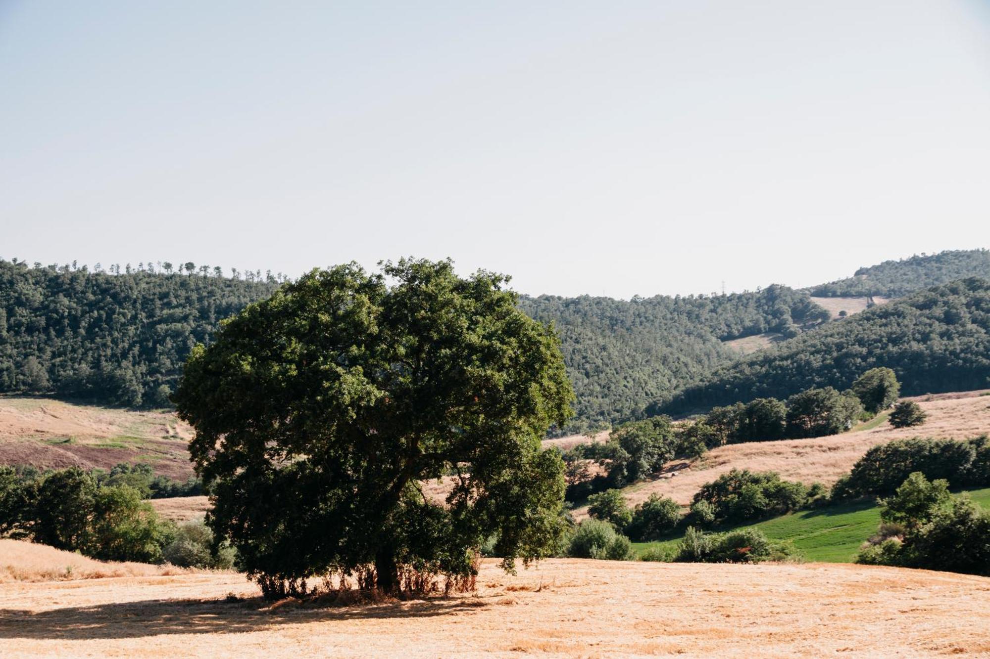 Poggio Al Vento Farm stay *