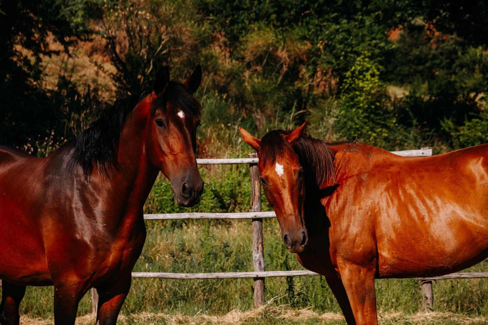 Poggio Al Vento Bauernhof